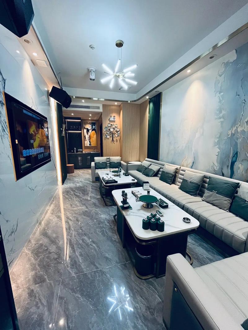 保定商务ktv与片场区别解读-定州市ktv预订